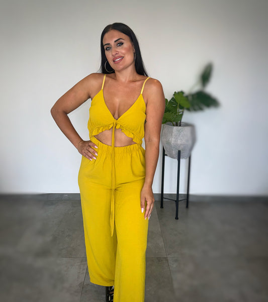 Mono Mostaza Apertura